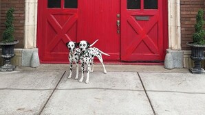 Entrada de una estación de bomberos roja con fachada de ladrillo, una puerta arqueada grande y dos perros dálmatas delante.