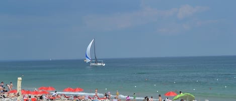 On the beach, sun-loungers, beach umbrellas, beach towels