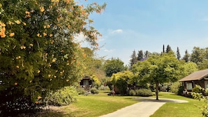 A well-maintained garden with a pathway leading to a wooden cabin. - Nofey Habashan (HaGalil HaElyon)