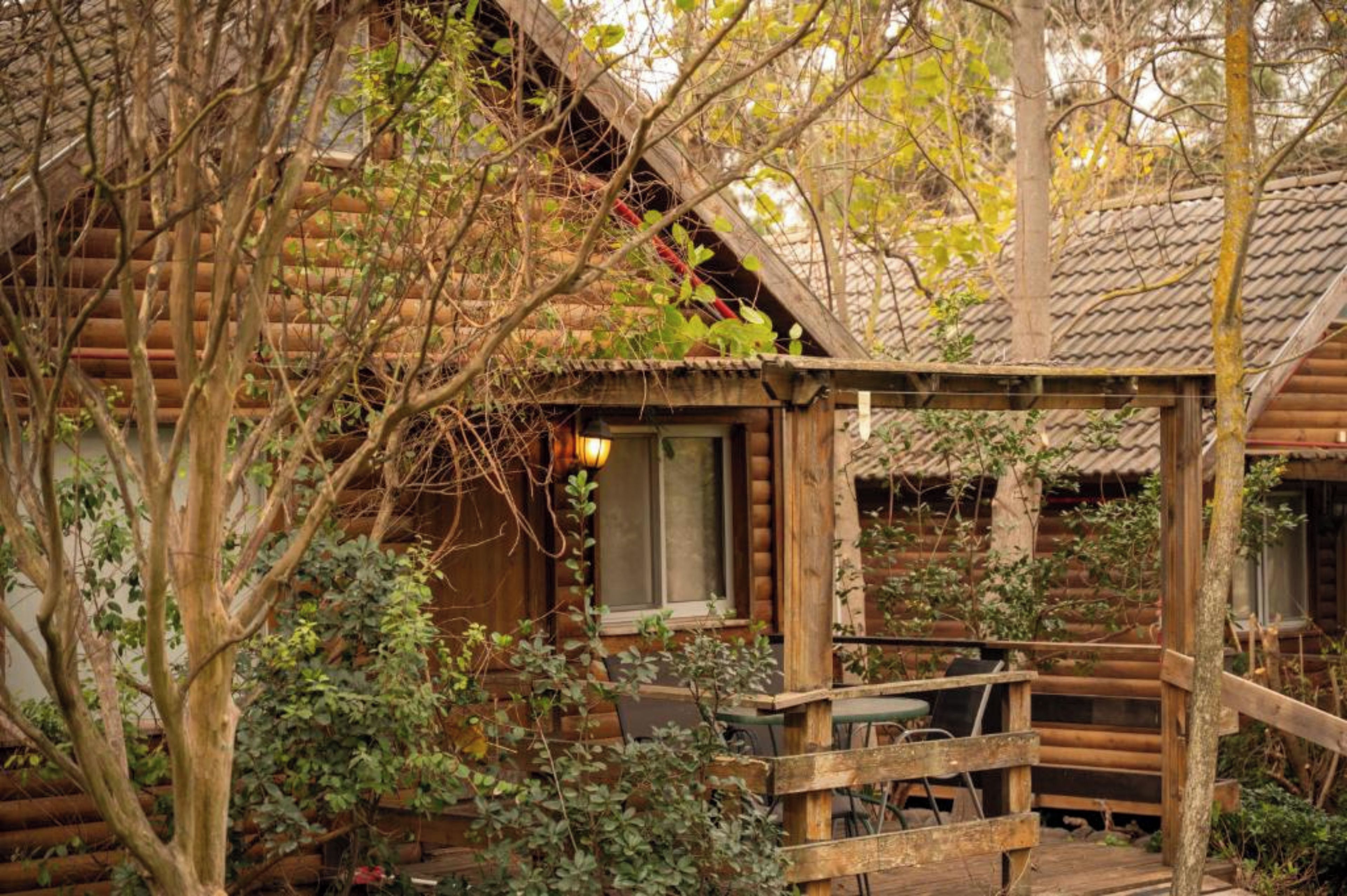 Ein rustikales Holzhaus mit überdachter Veranda, umgeben von dichtem Grün.