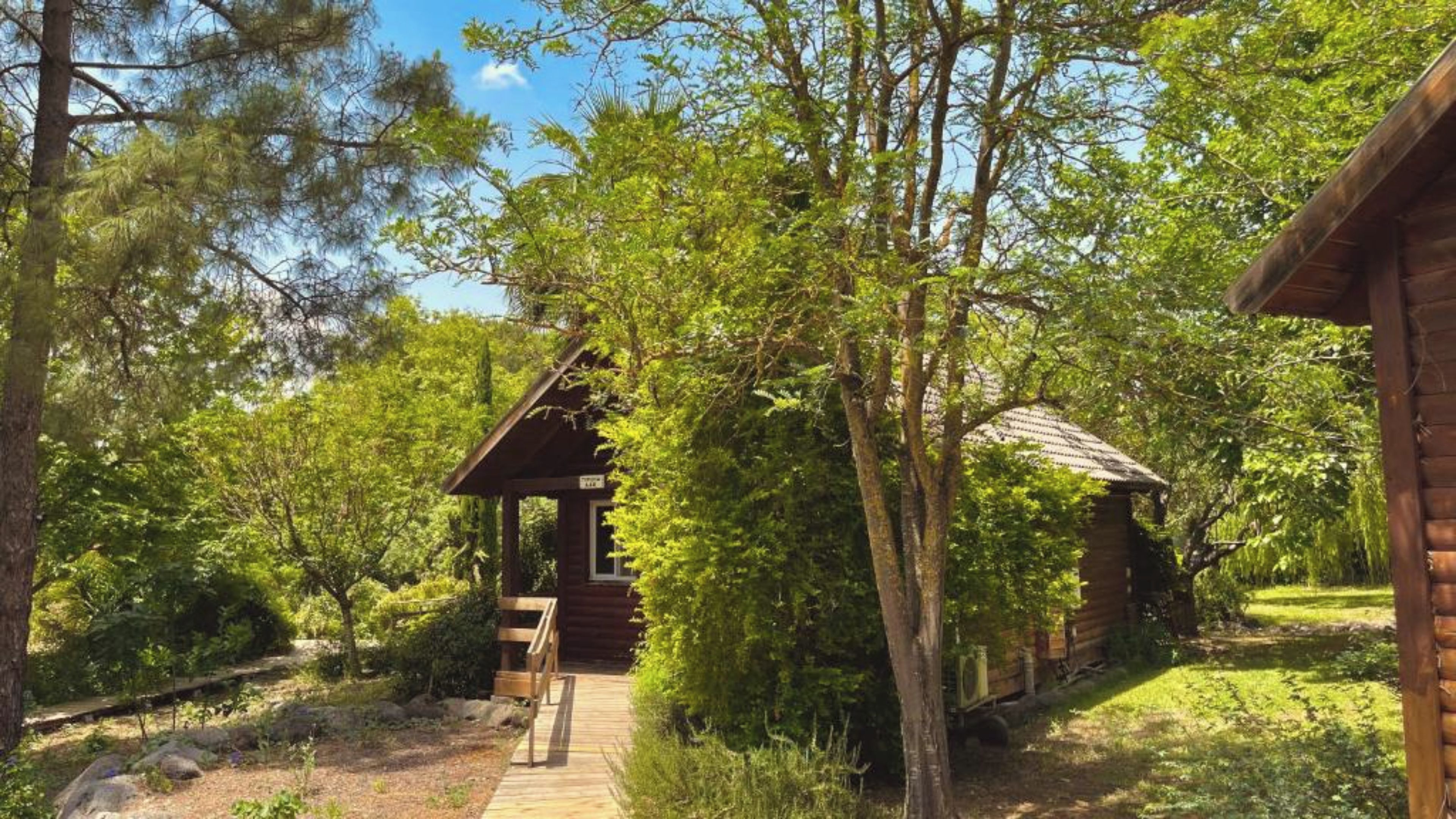 A wooden cabin with a porch, surrounded by dense greenery and trees.