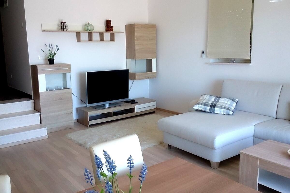 Deluxe Apartment, 2 Bedrooms, Terrace, Sea View | Living area | Flat-screen TV