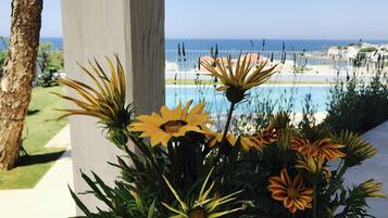 Vue depuis lâhĂ©bergement