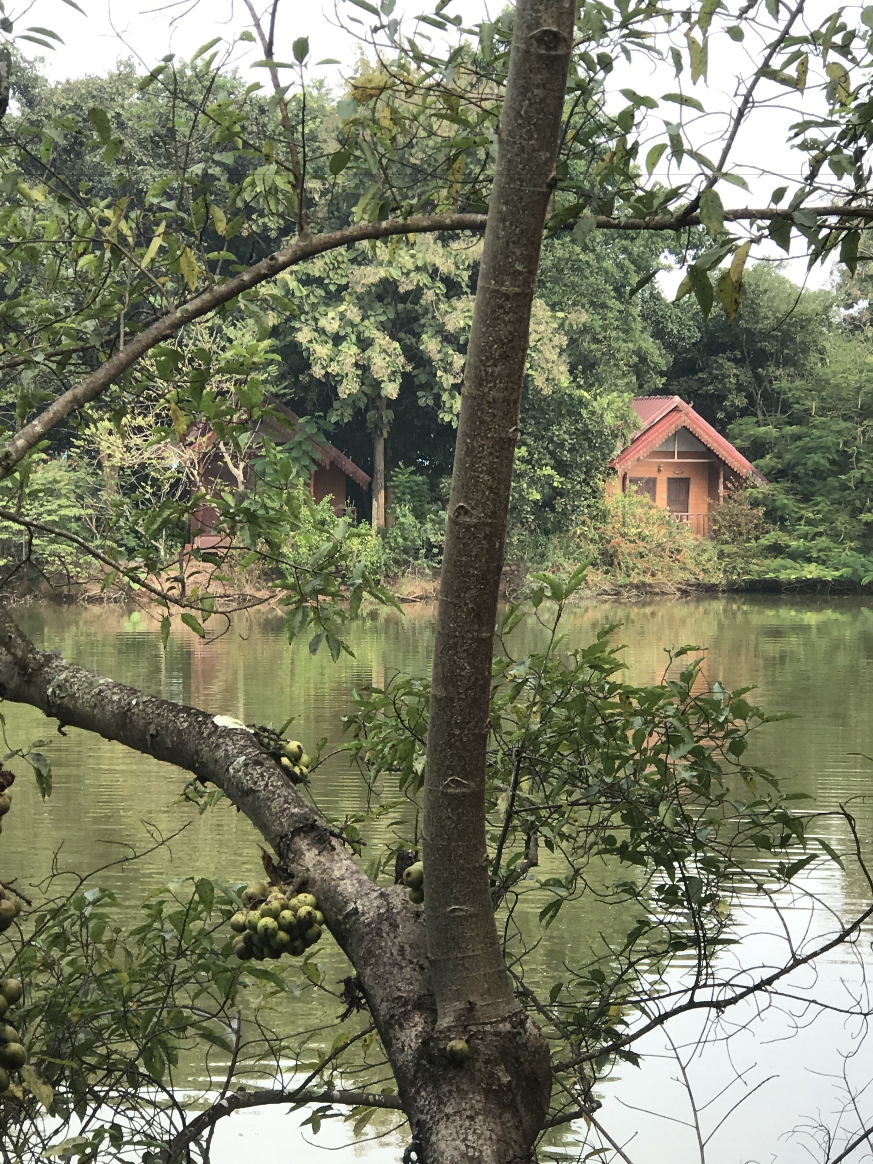 Bungalow estándar | Wifi gratis 