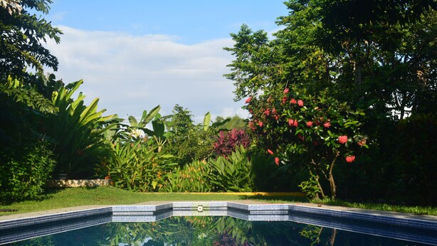 Una piscina envoltada de vegetació exuberant i plantes en flor.