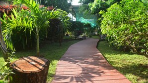 Un camí pavimentat en un jardí amb diverses plantes i un tronc d'arbre gran.