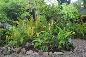 Tuin