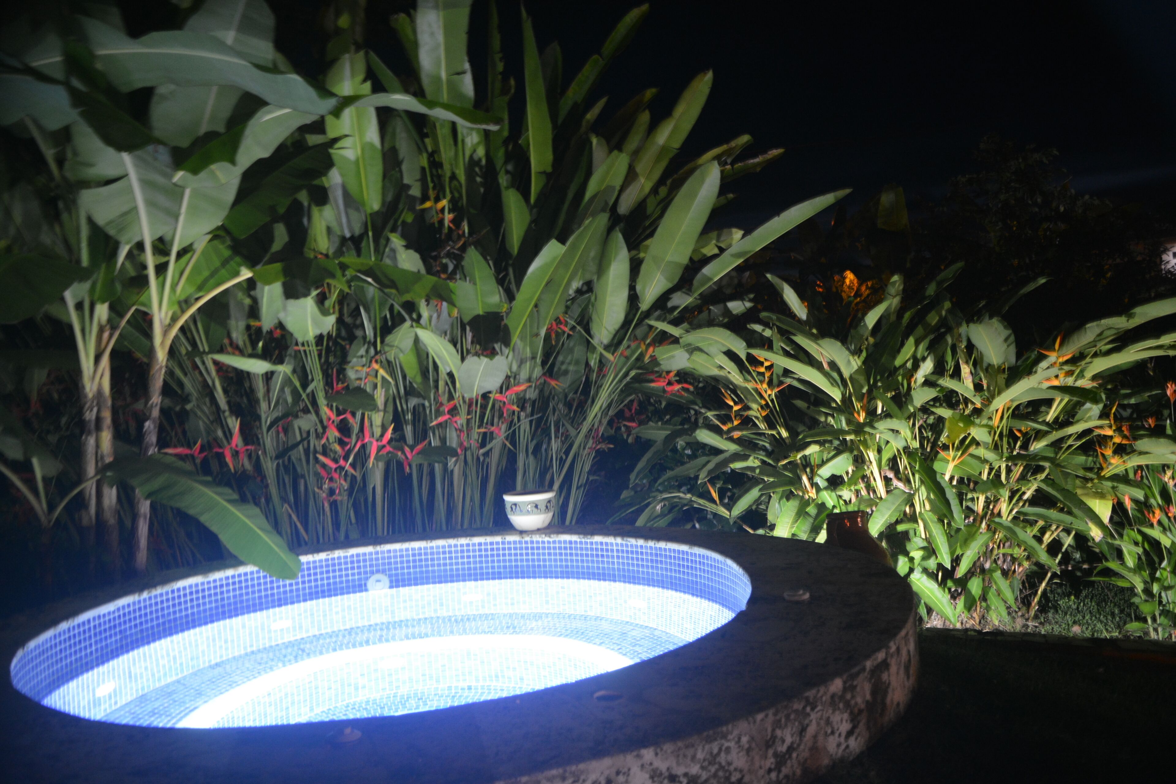 Un bain à remous entouré d’une végétation luxuriante et de plantes.