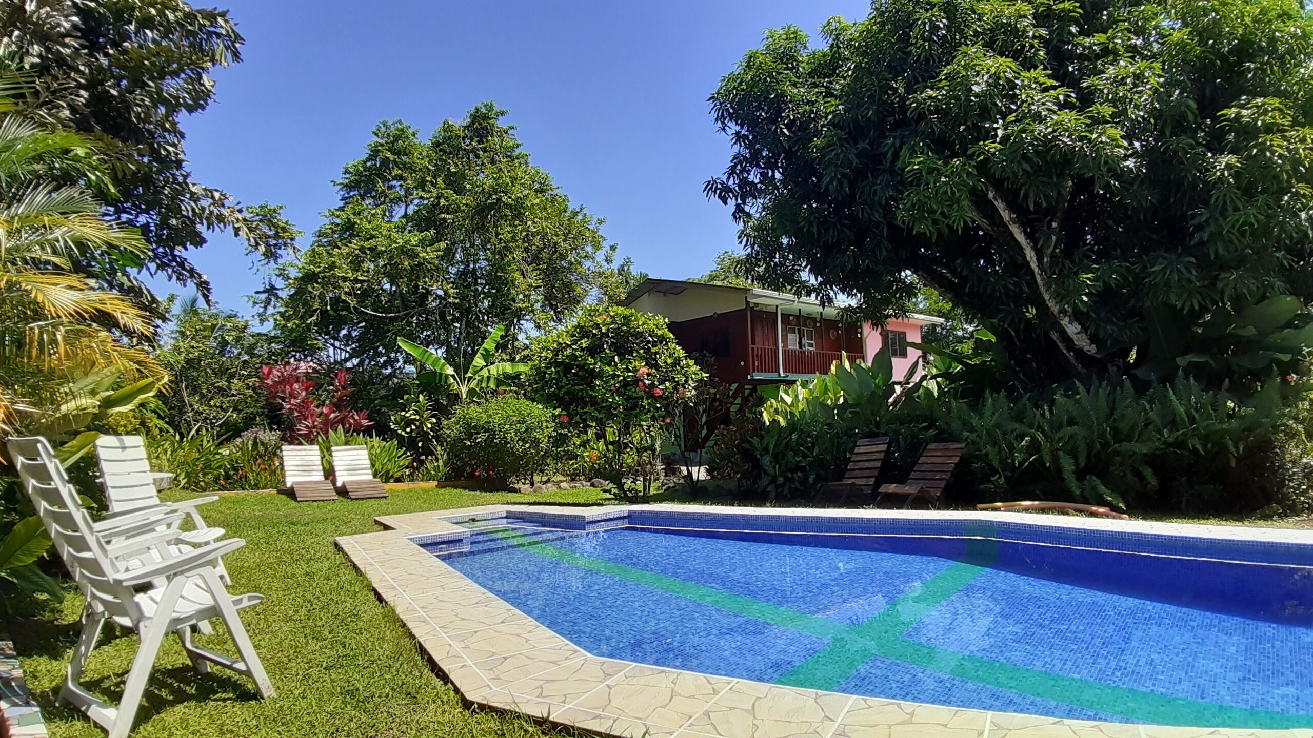 A swimming pool with a tiled edge, surrounded by a well-maintained lawn and various plants. There are lounge chairs and a building in the background.