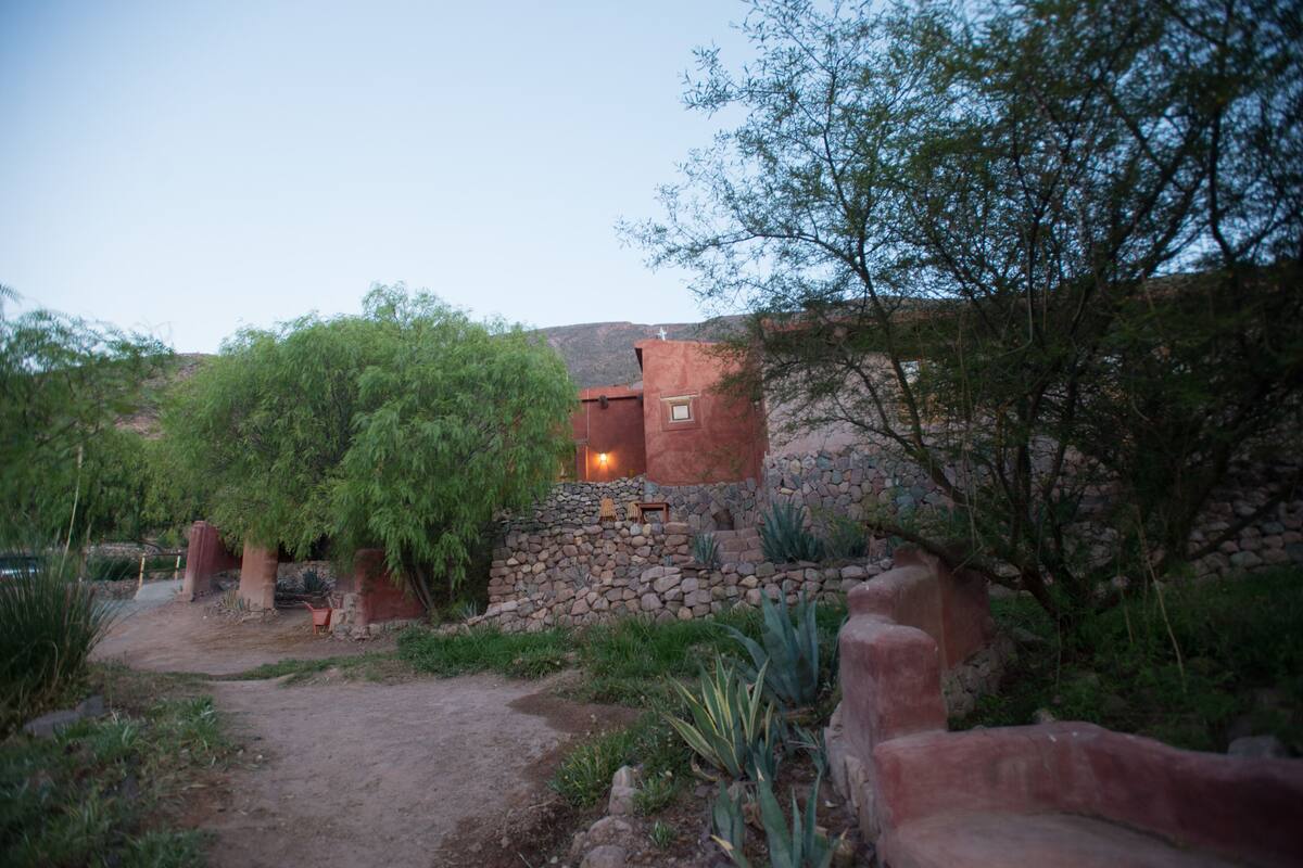 Garden view