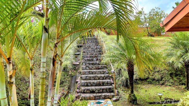 Una escalera de piedra rodeada de exuberante vegetación y un sendero empedrado.
