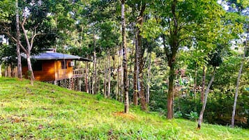 Chalet rustique familial, 2 chambres, vue sur la montagne, côté montagne | Terrain de l’hébergement 
