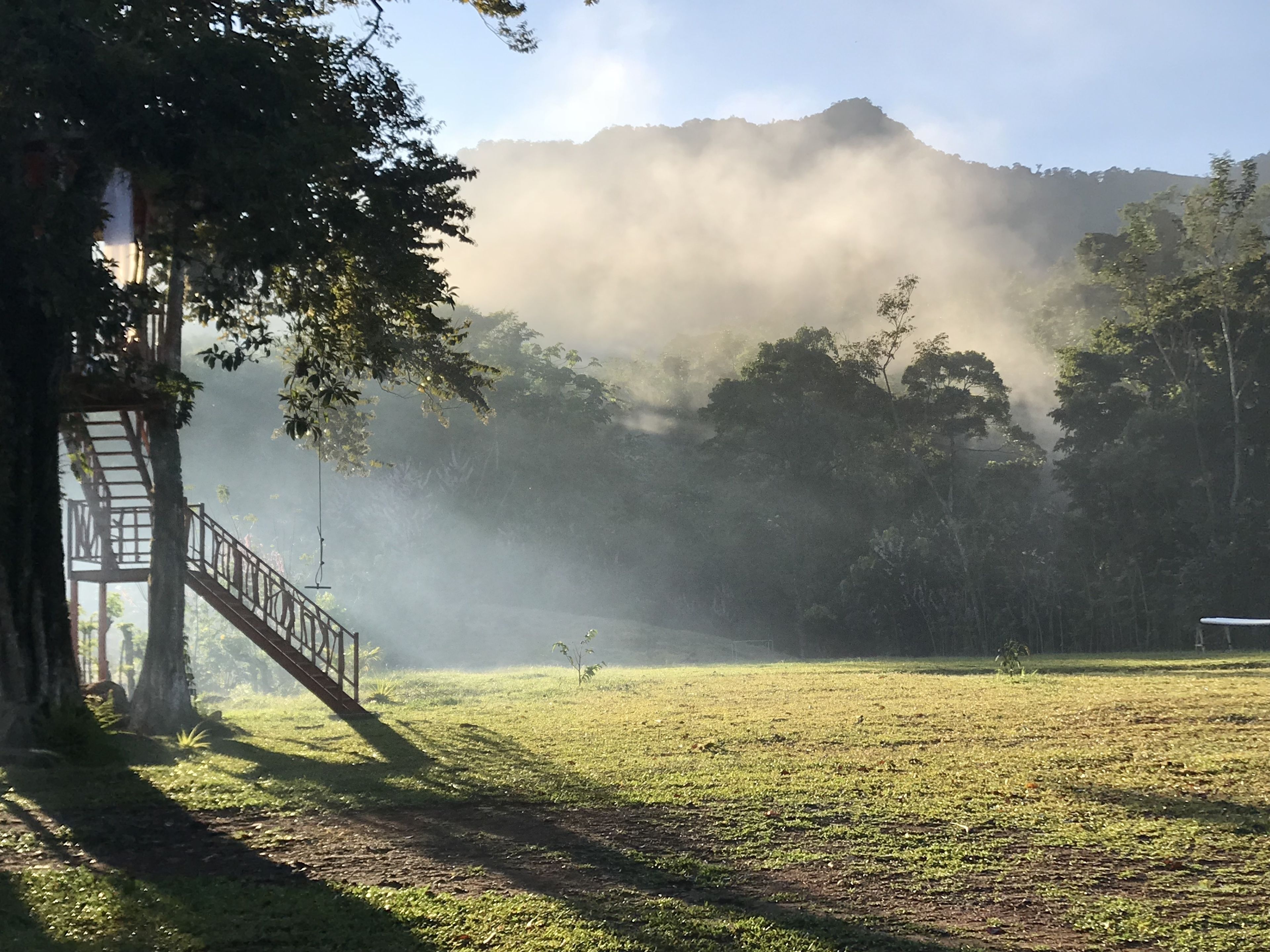 Un área boscosa con una escalera de madera que conduce a una plataforma, rodeada de árboles y una montaña brumosa al fondo.