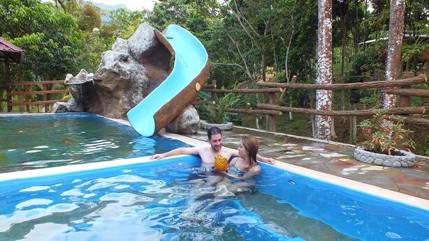 A swimming pool with a slide, surrounded by trees and a wooden fence.