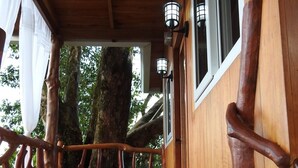 A wooden deck with a railing leading to a window, surrounded by trees.