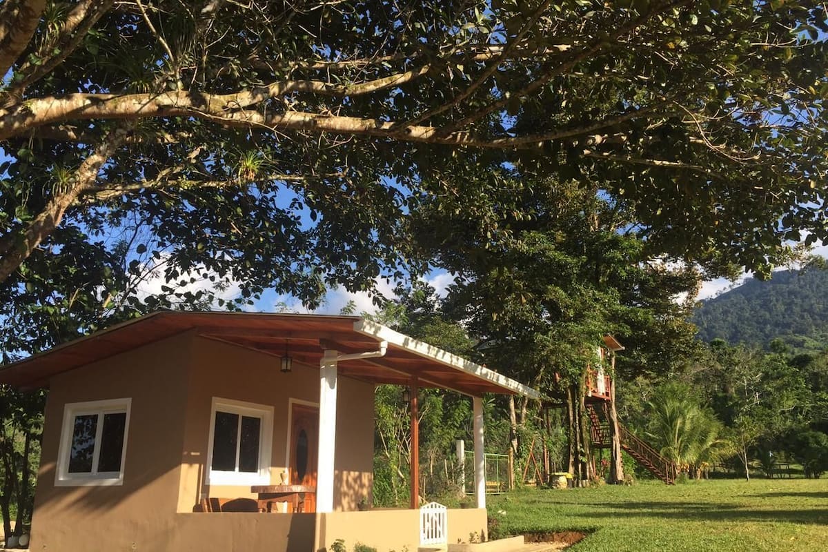 Habitación clásica, terraza, en la zona del patio | 1 dormitorio, sistema de insonorización, wifi gratis y ropa de cama