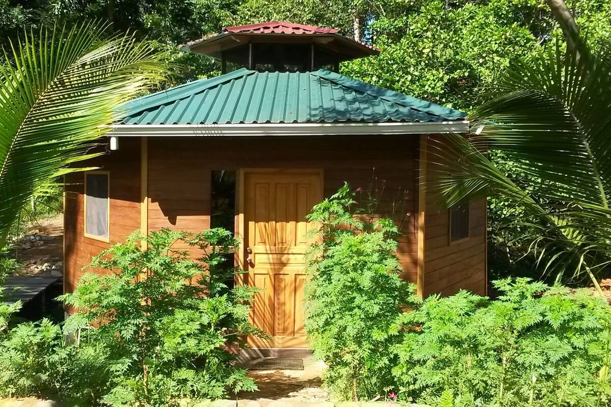 Eine kleine Holzhütte mit einem grünen Dach, umgeben von üppigem Grün und Pflanzen.