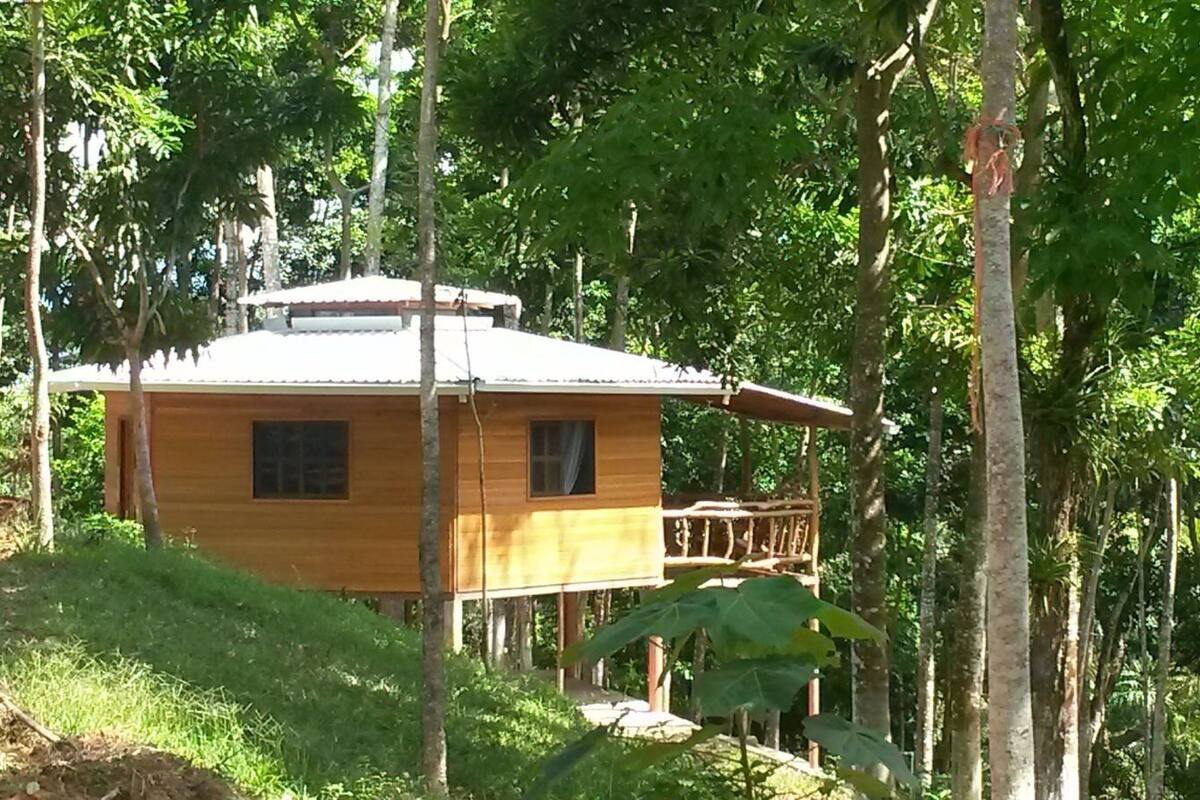 Eine Holzhütte mit Balkon, umgeben von dichtem Wald.