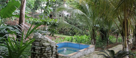 2 outdoor pools, a natural pool, pool loungers