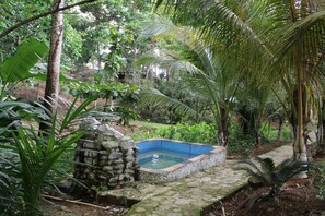 A stone pool surrounded by lush greenery and a stone wall. - Hotel y Termas Jilamito (Arizona)