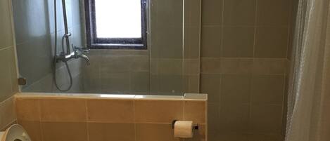 A bathroom with a toilet, a shower, and a window.