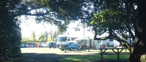 A parking area with RVs and cars, a picnic table, and trees.