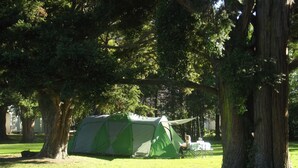 A green tent set up in a grassy park area with trees. - Greytown Campground (Greytown)