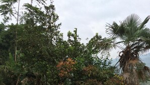 Unclassified image, 3 of 34, button - Cherry Sapa Hotel (Sa Pa)