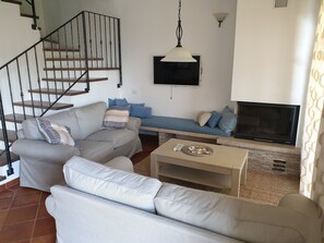 Smart-TV, Kamin