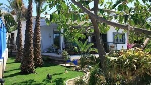 A residential area with palm trees, a white house, and a blue building.