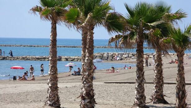 A beach with palm trees, people relaxing, and a rocky shoreline.