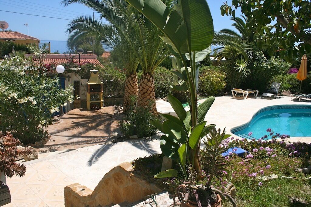 Un'area piscina con un vialetto in pietra, palme e un piccolo giardino fiorito.