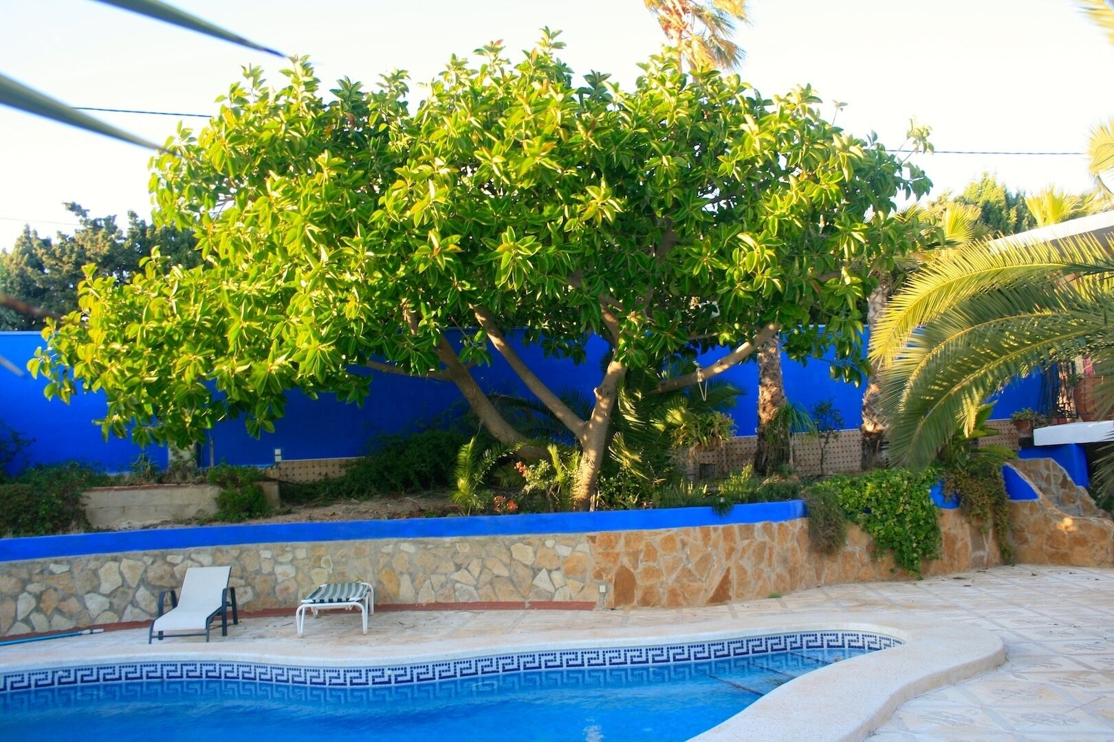 Ein Poolbereich mit einer Steinmauer, einem blauen Zaun und einem Baum.