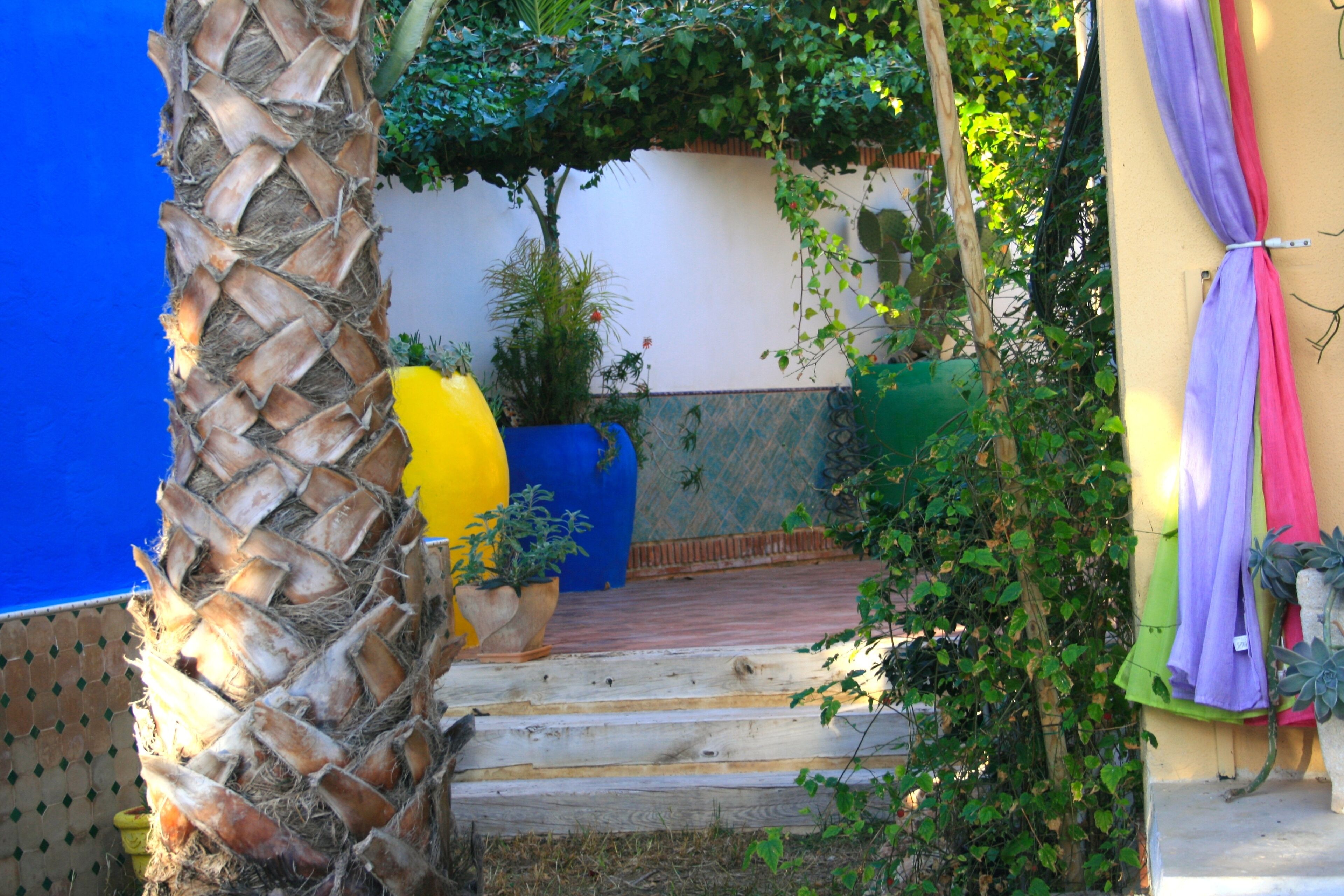 A staircase leading to a covered area with a palm tree and potted plants.