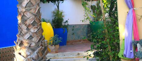 A staircase leading to a covered area with a palm tree and potted plants.