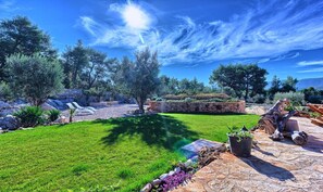 المنطقة المحيطة بالمنشأة