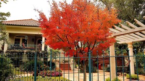 Une maison avec un jardin, une pergola et une clôture.