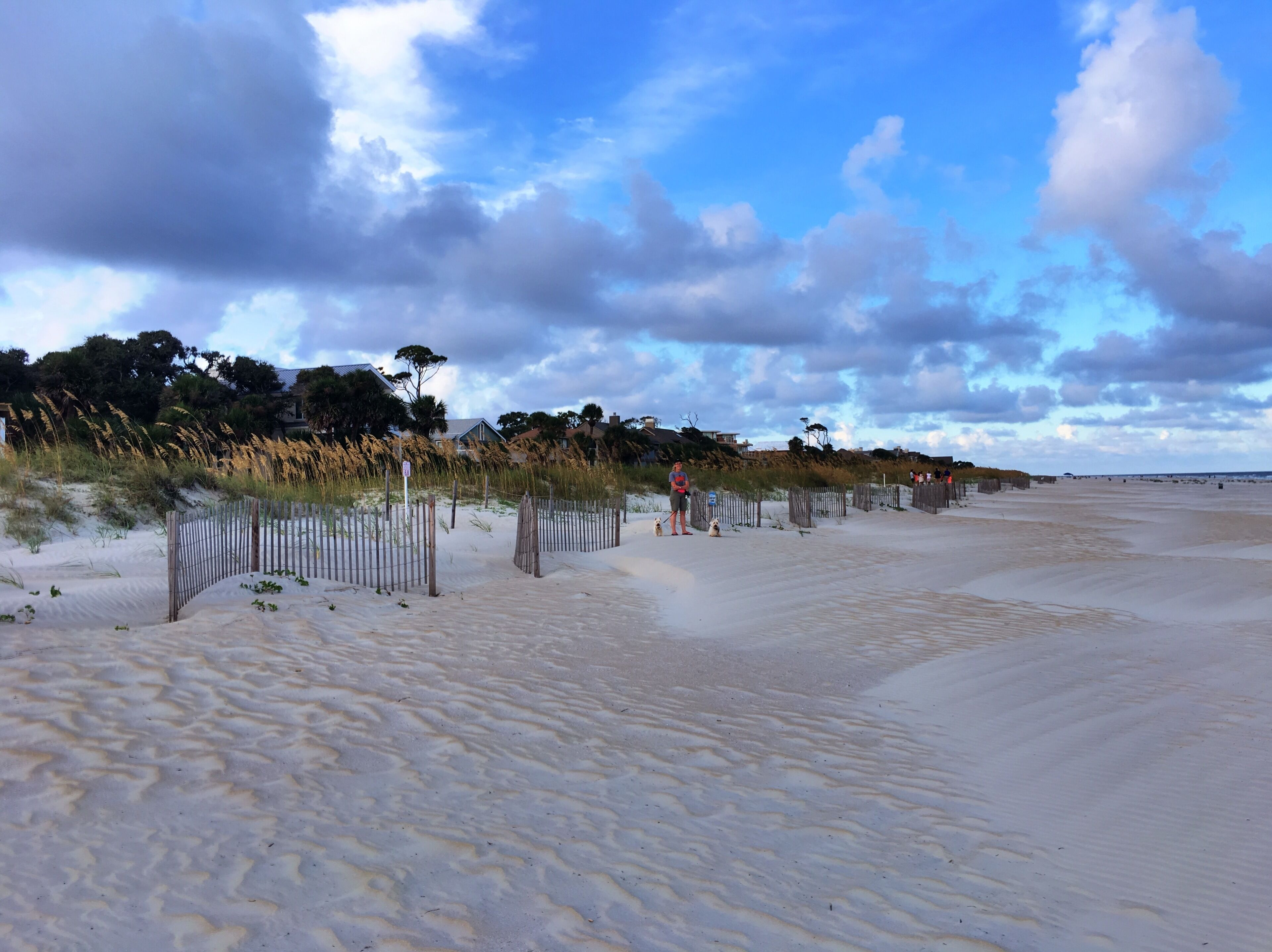 Une plage avec des dunes de sable, une clôture en bois et une personne promenant un chien.