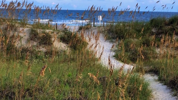 Un sentier côtier bordé de dunes et de végétation herbeuse, qui mène à l’océan.