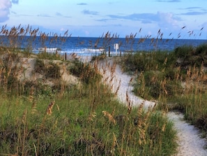 A coastal path with dunes and grasses leading to the ocean.