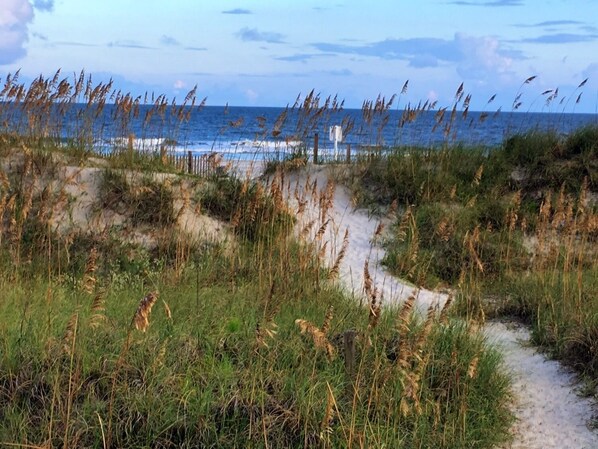 On the beach, sun-loungers