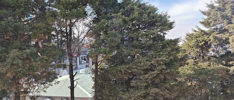 A building with a green roof, surrounded by trees.