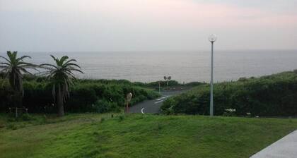 Marine Plaza Y's Dream