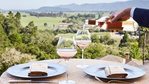 A table with two plates, each with a folded napkin and a glass of wine, set against a scenic view of a vineyard and mountains.
