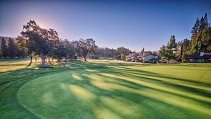 A golf course with a well-maintained green, trees, and residential buildings in the background.