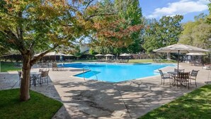 A rectangular swimming pool with a surrounding patio area, including outdoor furniture and umbrellas.