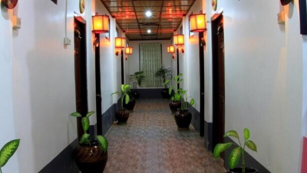Un couloir agrémenté de plantes en pot, d’un tapis à motifs et de lampes fixées au mur.