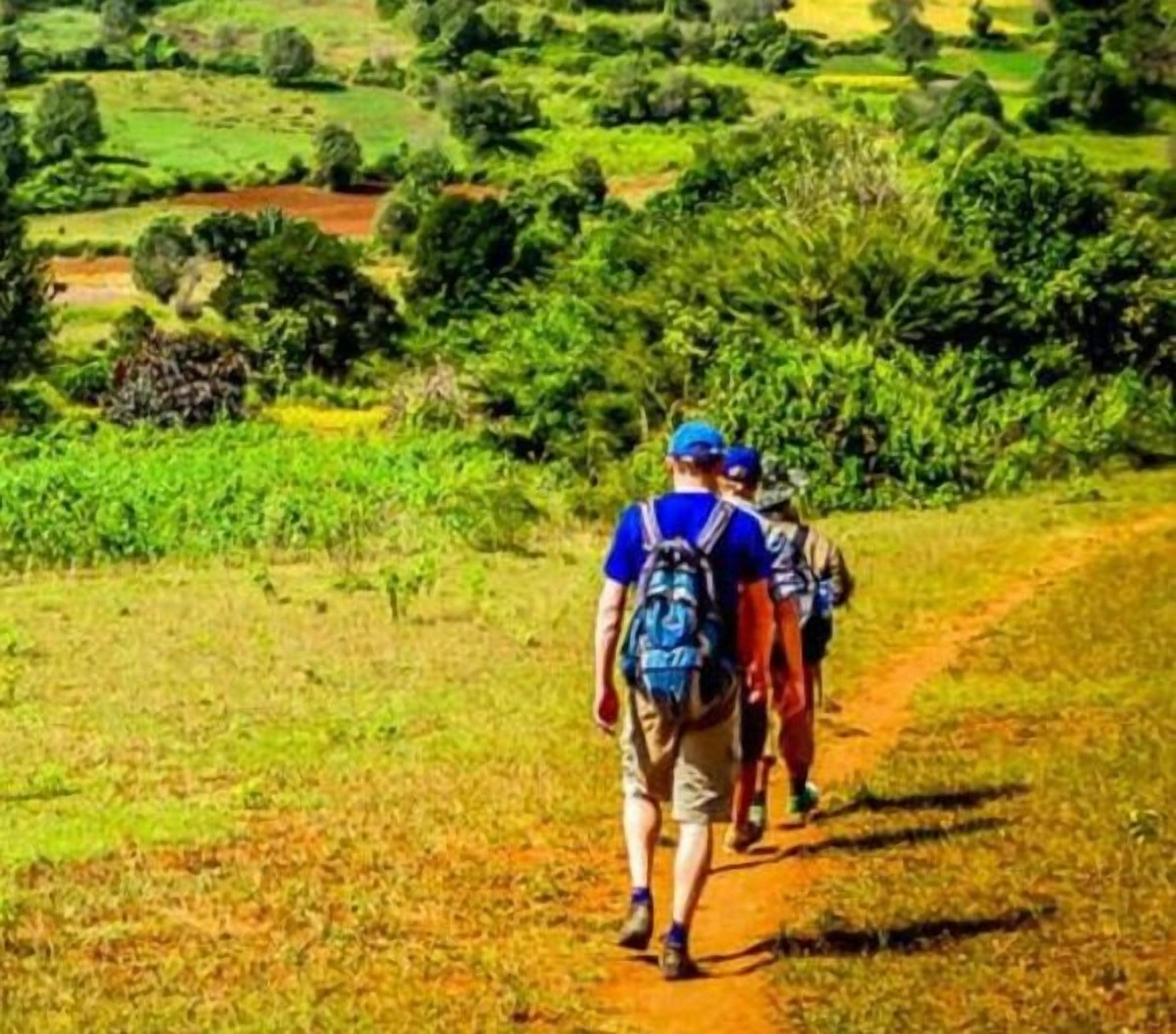 Un sendero de tierra con dos personas alejándose de la cámara, rodeado de vegetación verde.
