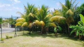 Vista desde la propiedad