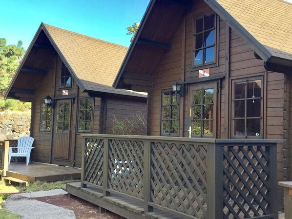 Free wired Internet - Pension 101 (Oshima)